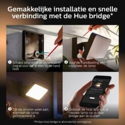 Philips Hue Welkom Schijnwerper 17 Philips Hue Welkom Schijnwerper -Tuinproducten 10020943