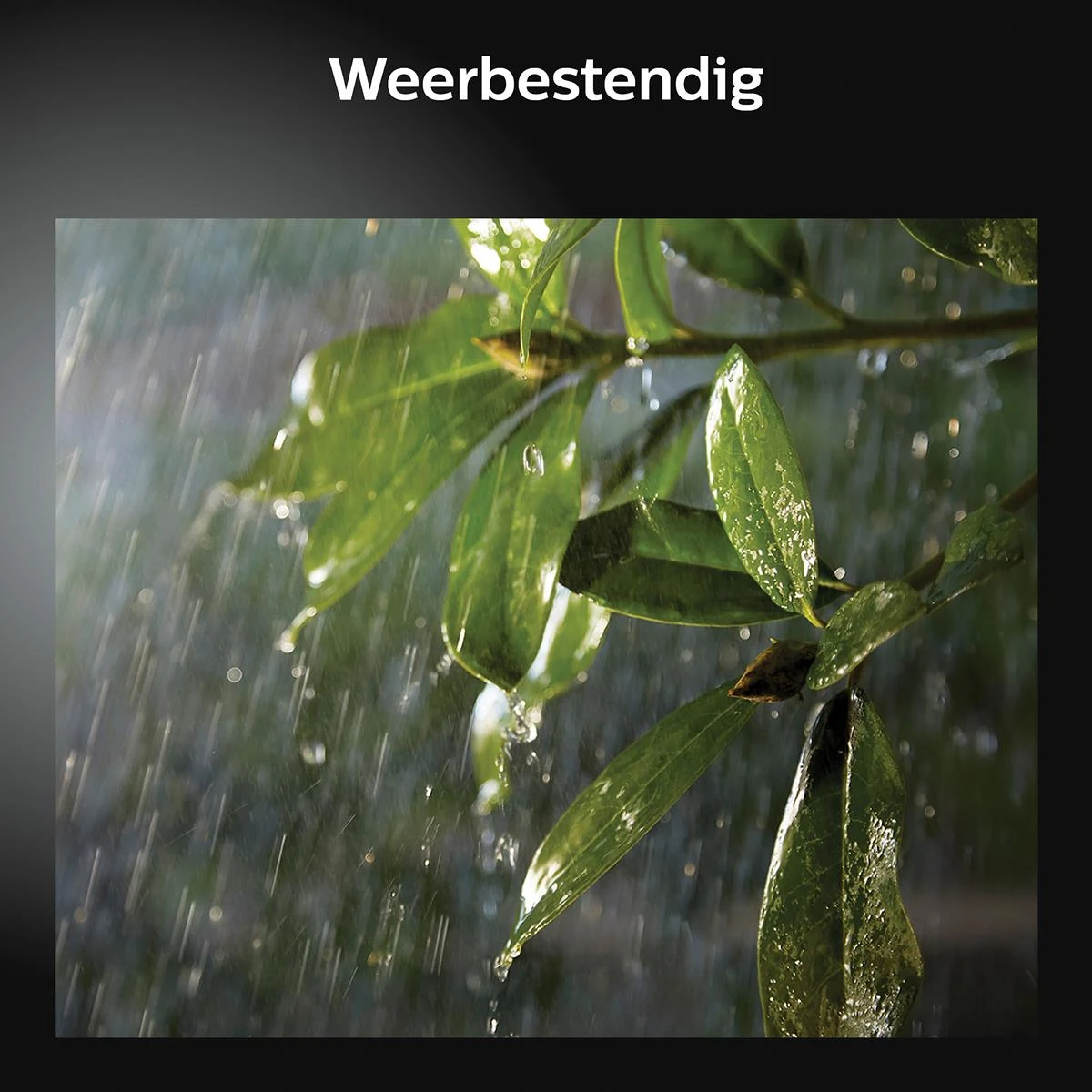 Philips Hue Welkom Schijnwerper 12 Philips Hue Welkom Schijnwerper - Afbeelding 10