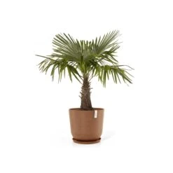 Ecopots Oslo Bloempot Ø 55 Cm - Terra -Tuinproducten 10113596