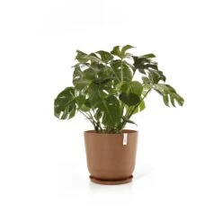 Ecopots Oslo Bloempot Ø 55 Cm - Terra -Tuinproducten 10113599