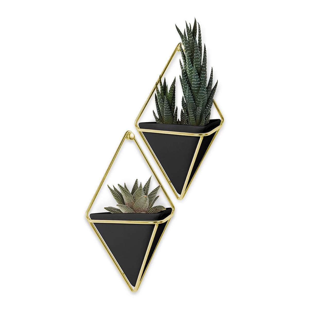 Umbra Trigg Wandhouder En Bloempot 3 Umbra Trigg Wandhouder En Bloempot