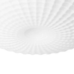 QAZQA Klassieke Plafondlamp Zwart Met Opaal Glas 30 Cm IP44 - Nohmi -Tuinproducten 10215227