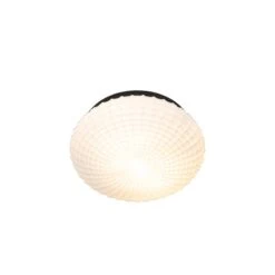 QAZQA Klassieke Plafondlamp Zwart Met Opaal Glas 30 Cm IP44 - Nohmi -Tuinproducten 10215228