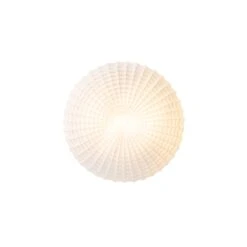 QAZQA Klassieke Plafondlamp Zwart Met Opaal Glas 30 Cm IP44 - Nohmi -Tuinproducten 10215241