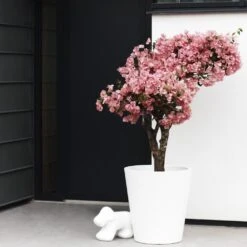 Elho Pure Straight Round Plantenbak 50 Cm Wit 8 Elho Pure Straight Round Plantenbak 50 Cm Wit -Tuinproducten 10416222