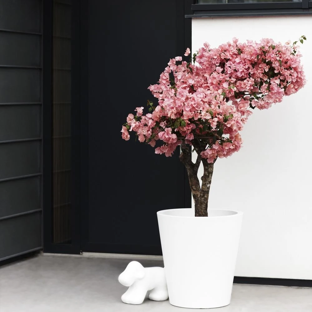 Elho Pure Straight Round Plantenbak 50 Cm Wit 5 Elho Pure Straight Round Plantenbak 50 Cm Wit - Afbeelding 3