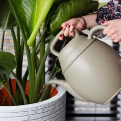 Tuinproducten -Tuinproducten 10433774