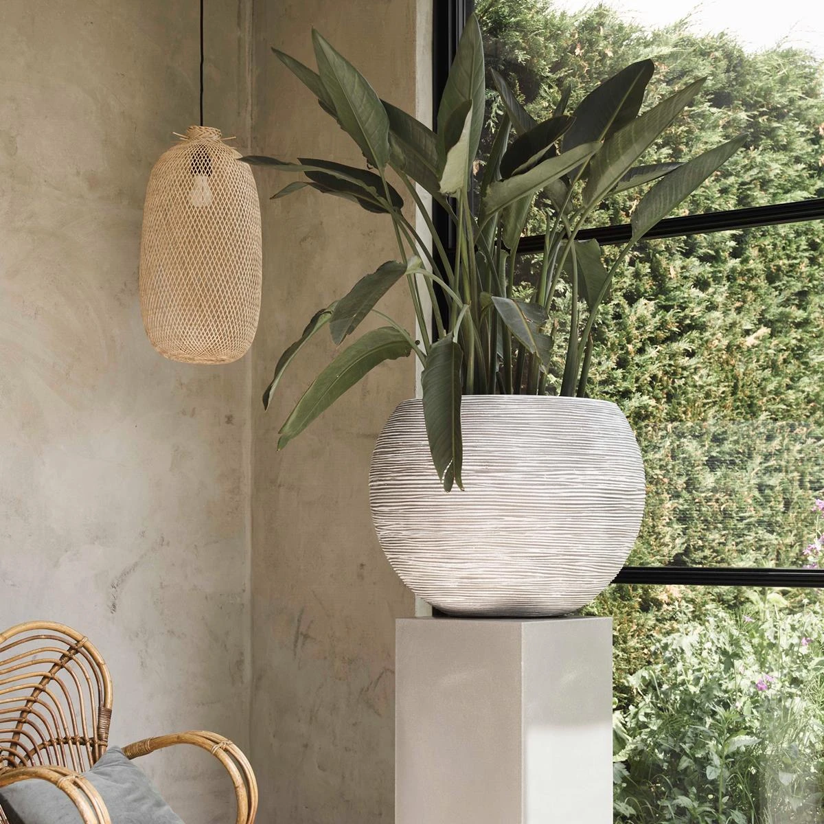 Capi Europe Nature Rib Vaas Rond Bloempot 62 Cm 4 Capi Europe Nature Rib Vaas Rond Bloempot 62 Cm - Afbeelding 2