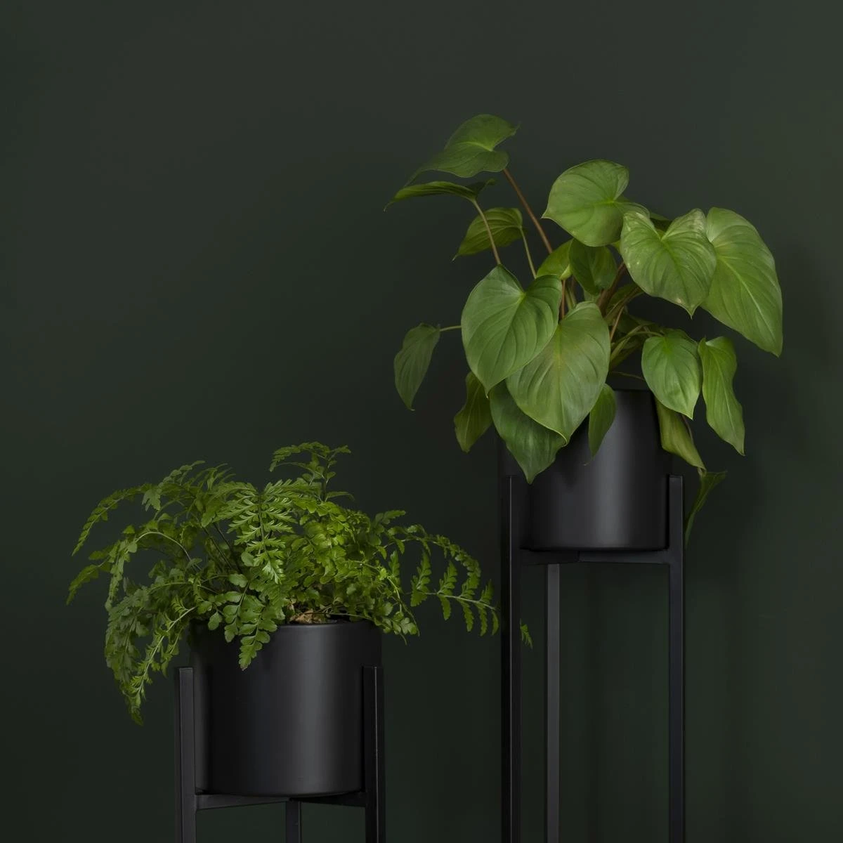 QUVIO Plantenstandaard Inclusief Pot - 22x22x90 Cm - Zwart - L 4 QUVIO Plantenstandaard Inclusief Pot - 22x22x90 Cm - Zwart - L - Afbeelding 2