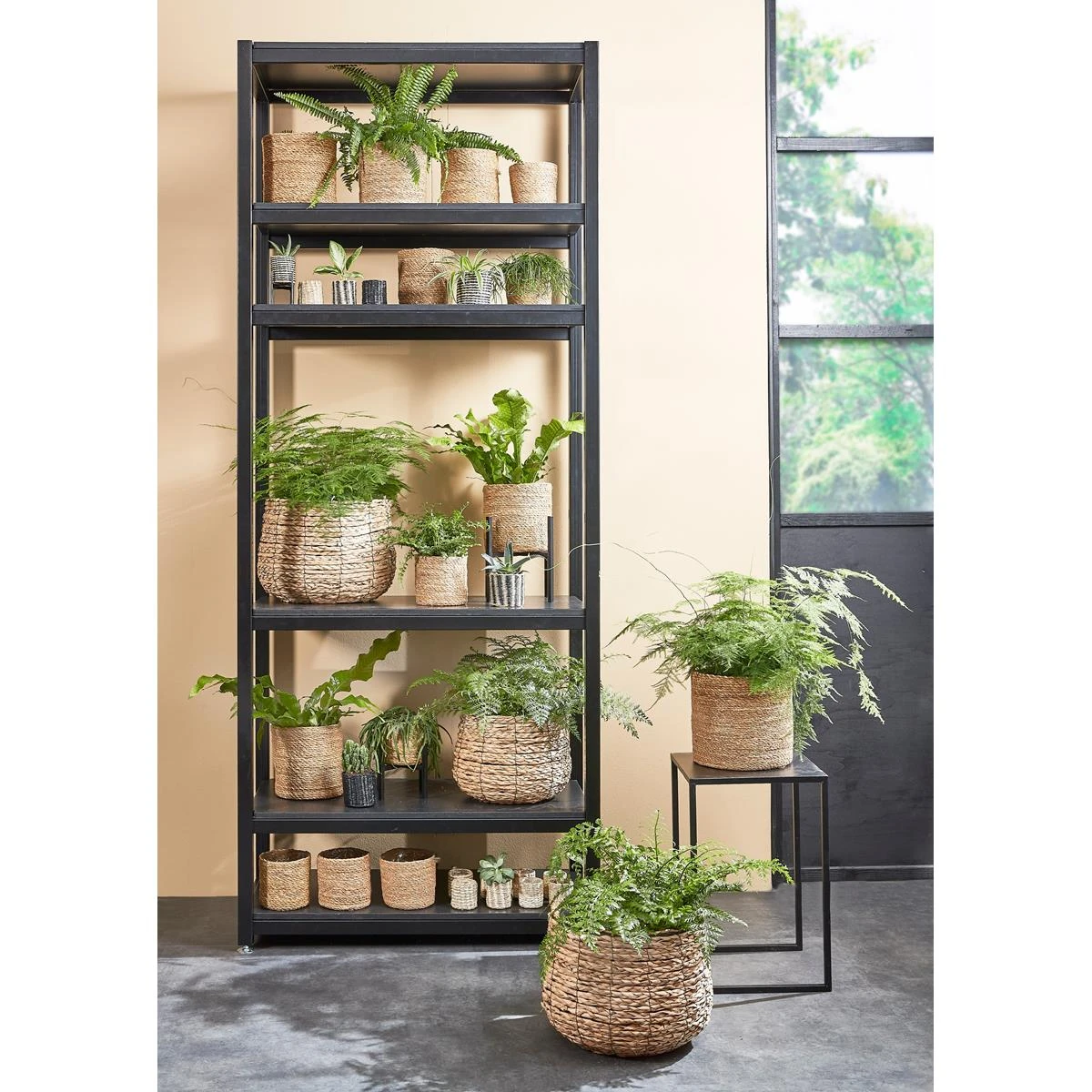 Mica Decorations Avalon Mandenset Voor Planten Ø44 Cm Lichtbruin 13 Mica Decorations Avalon Mandenset Voor Planten Ø44 Cm Lichtbruin - Afbeelding 11