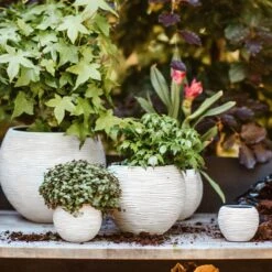 Capi Europe Nature Indoor Bloempot Mix - Set Van 3 - Ivoor 5 Capi Europe Nature Indoor Bloempot Mix - Set Van 3 - Ivoor -Tuinproducten 10670947