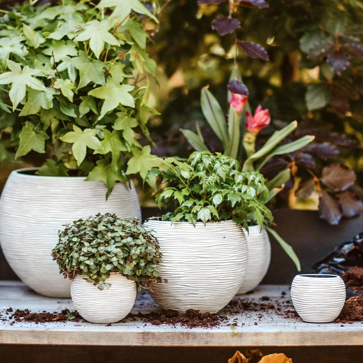 Capi Europe Nature Indoor Bloempot Mix - Set Van 3 - Ivoor 4 Capi Europe Nature Indoor Bloempot Mix - Set Van 3 - Ivoor - Afbeelding 2