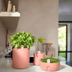 Elho Amazing Avocado Pot Ø 12 Cm - Roze 10 Elho Amazing Avocado Pot Ø 12 Cm - Roze -Tuinproducten 10931257