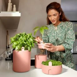 Elho Amazing Avocado Pot Ø 12 Cm - Roze 9 Elho Amazing Avocado Pot Ø 12 Cm - Roze -Tuinproducten 10931263