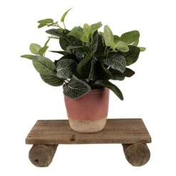 Clayre & Eef Plantentafeltje 25x12x8 Cm Bruin Hout Rechthoek 7 Clayre & Eef Plantentafeltje 25x12x8 Cm Bruin Hout Rechthoek -Tuinproducten 10980763