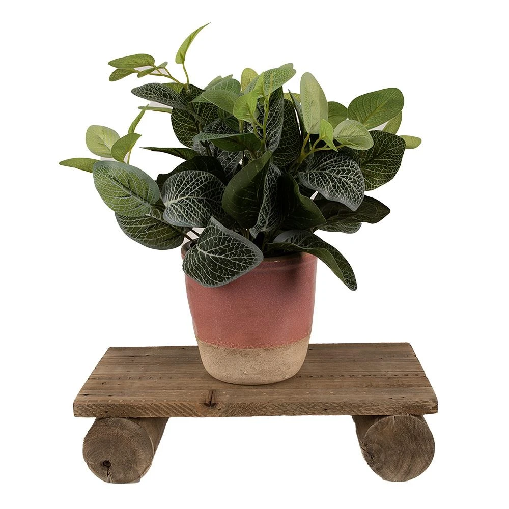 Clayre & Eef Plantentafeltje 25x12x8 Cm Bruin Hout Rechthoek 5 Clayre & Eef Plantentafeltje 25x12x8 Cm Bruin Hout Rechthoek - Afbeelding 3