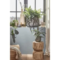 Mica Decorations Hendrick Bloempot - 21x21x19 Cm - Cement - Créme 9 Mica Decorations Hendrick Bloempot - 21x21x19 Cm - Cement - Créme -Tuinproducten 11072484