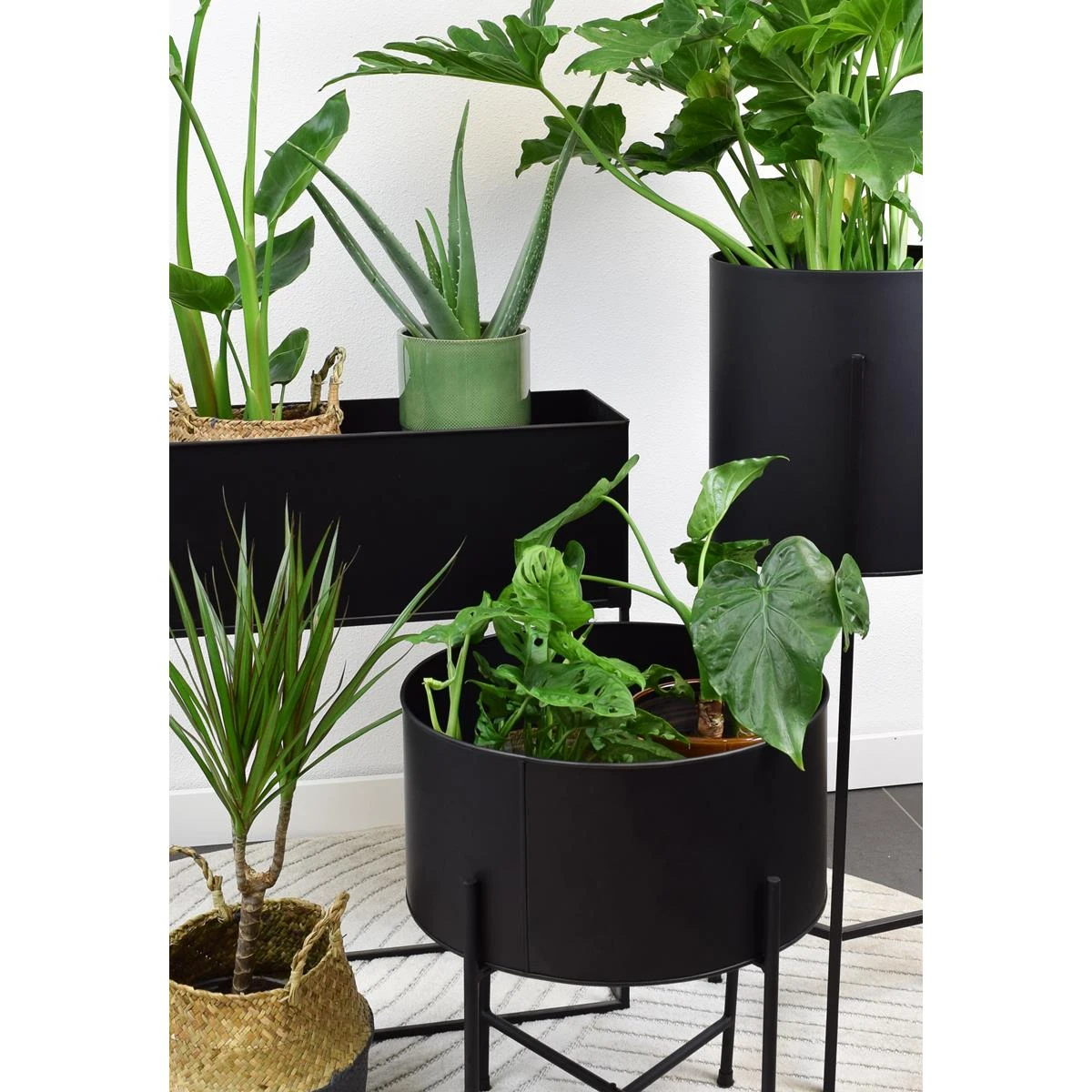 LOFT42 Flora Plantenbak Rond - Metaal - Mat Zwart - Ø40 8 LOFT42 Flora Plantenbak Rond - Metaal - Mat Zwart - Ø40 - Afbeelding 6