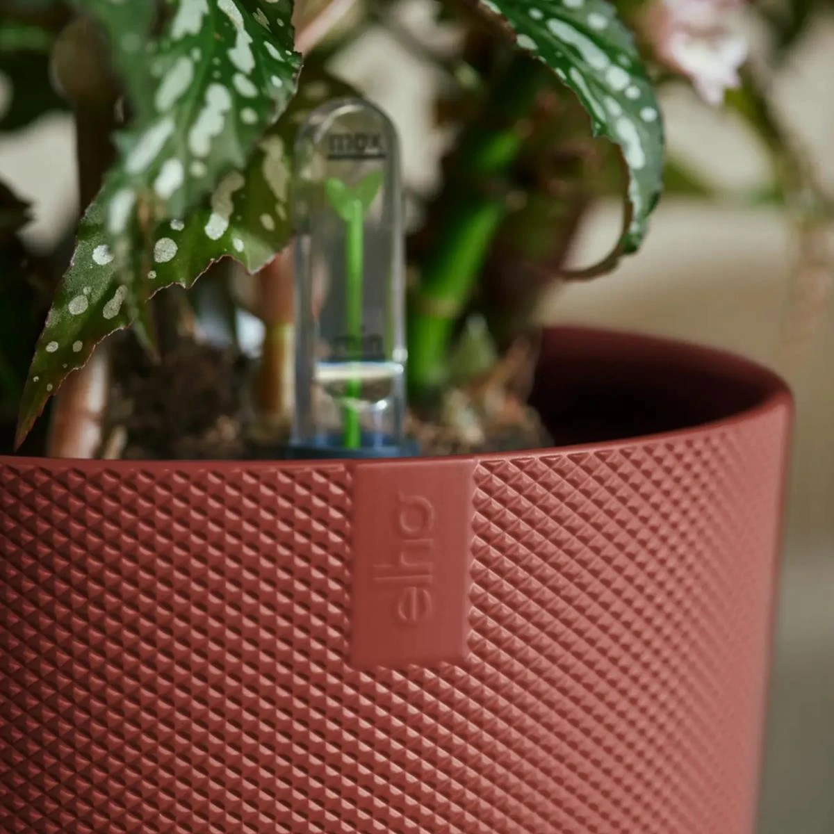 Elho Jazz Bloempot - Ø 23 Cm - Tuscan Red 7 Elho Jazz Bloempot - Ø 23 Cm - Tuscan Red - Afbeelding 5