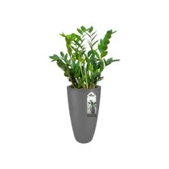 Elho Pure Soft Round High Bloempot Ø 30 Cm - Antraciet -Tuinproducten 11435298