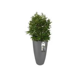 Elho Pure Soft Round High Bloempot Ø 50 Cm - Antraciet -Tuinproducten 11435312