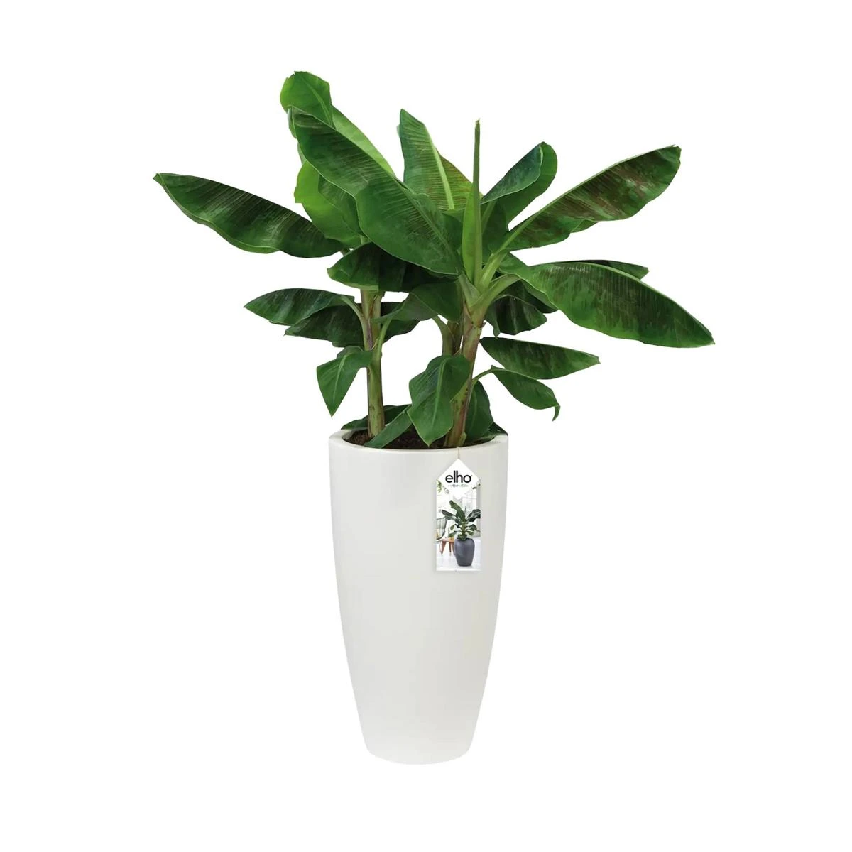 Elho Pure Soft Round High Bloempot Ø 35 Cm - Wit 5 Elho Pure Soft Round High Bloempot Ø 35 Cm - Wit - Afbeelding 3