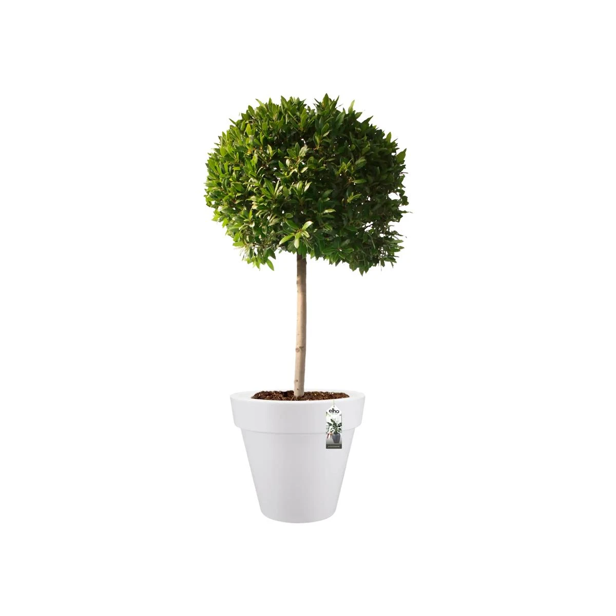 Elho Pure Round Bloempot Ø 50 Cm - Wit 5 Elho Pure Round Bloempot Ø 50 Cm - Wit - Afbeelding 3
