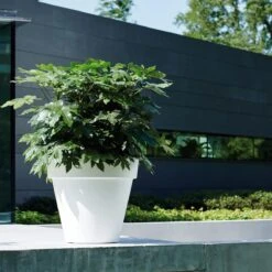 Elho Pure Round Bloempot Ø 50 Cm - Wit 15 Elho Pure Round Bloempot Ø 50 Cm - Wit -Tuinproducten 11454684