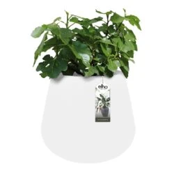 Elho Pure Cone Bloempot Ø 45 Cm - Wit 11 Elho Pure Cone Bloempot Ø 45 Cm - Wit -Tuinproducten 11594860