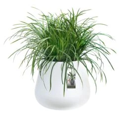 Elho Pure Cone Bloempot Ø 45 Cm - Wit 12 Elho Pure Cone Bloempot Ø 45 Cm - Wit -Tuinproducten 11594864