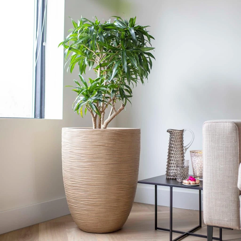 Capi Europe Vaas Elegant Laag Waste Rib NL - 46x58 - Terrazzo Beige 5 Capi Europe Vaas Elegant Laag Waste Rib NL - 46x58 - Terrazzo Beige - Afbeelding 3