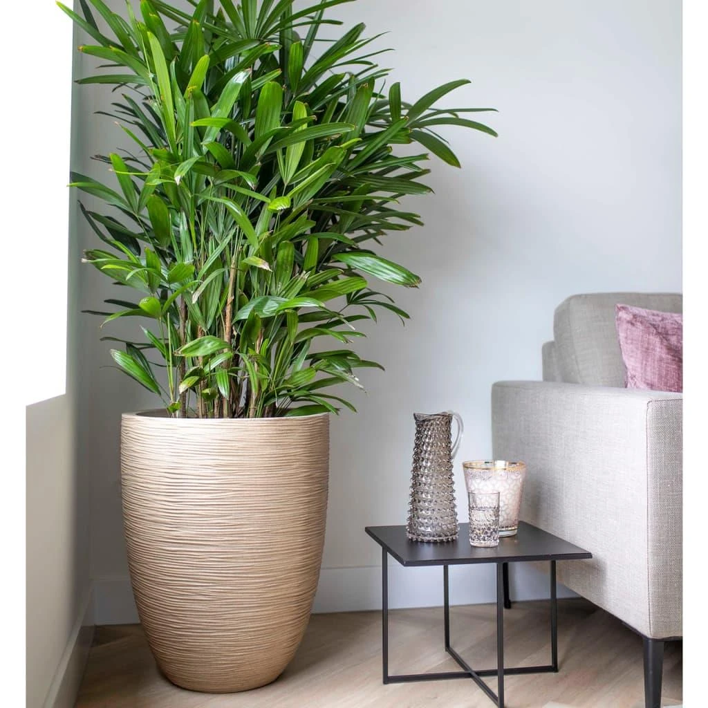 Capi Europe Vaas Elegant Laag Waste Rib NL - 46x58 - Terrazzo Beige 9 Capi Europe Vaas Elegant Laag Waste Rib NL - 46x58 - Terrazzo Beige - Afbeelding 7