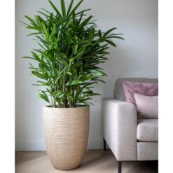 Capi Europe Vaas Elegant Laag Waste Rib NL - 46x58 - Terrazzo Beige 21 Capi Europe Vaas Elegant Laag Waste Rib NL - 46x58 - Terrazzo Beige -Tuinproducten 11667469