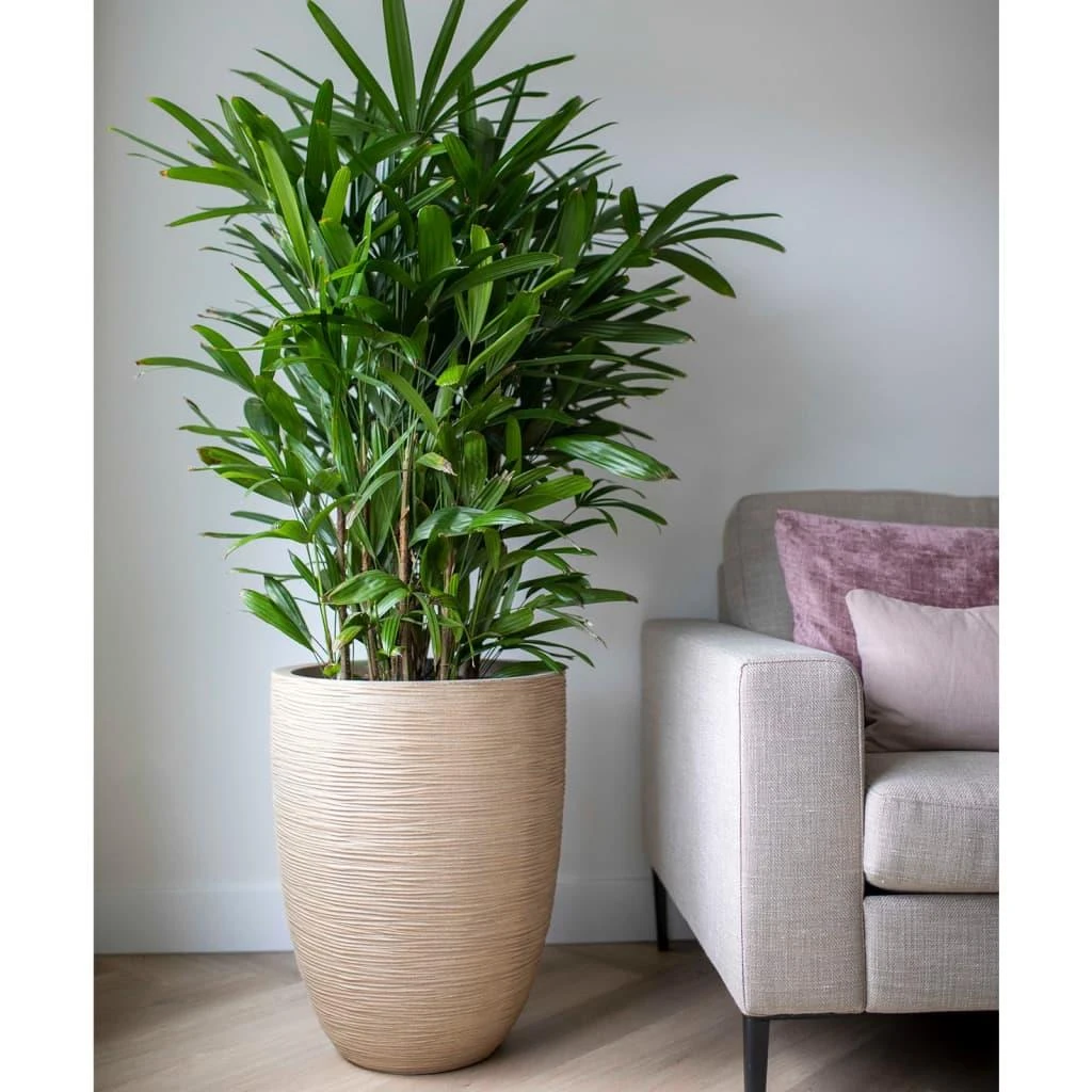 Capi Europe Vaas Elegant Laag Waste Rib NL - 46x58 - Terrazzo Beige 10 Capi Europe Vaas Elegant Laag Waste Rib NL - 46x58 - Terrazzo Beige - Afbeelding 8