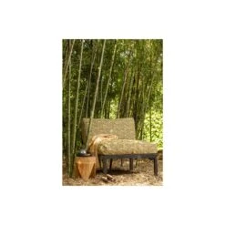 WOOOD Loungebankje Buiten George - Aluminium - Zwart - 73x90x83 15 WOOOD Loungebankje Buiten George - Aluminium - Zwart - 73x90x83 -Tuinproducten 11680285