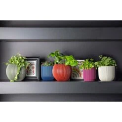 Capi Europe Vaas Cilinder Groove Colours - 8x9 - Beige 10 Capi Europe Vaas Cilinder Groove Colours - 8x9 - Beige -Tuinproducten 11760597