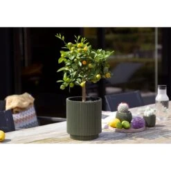 Capi Europe Vaas Cilinder Groove Colours - 8x9 - Beige 12 Capi Europe Vaas Cilinder Groove Colours - 8x9 - Beige -Tuinproducten 11774725