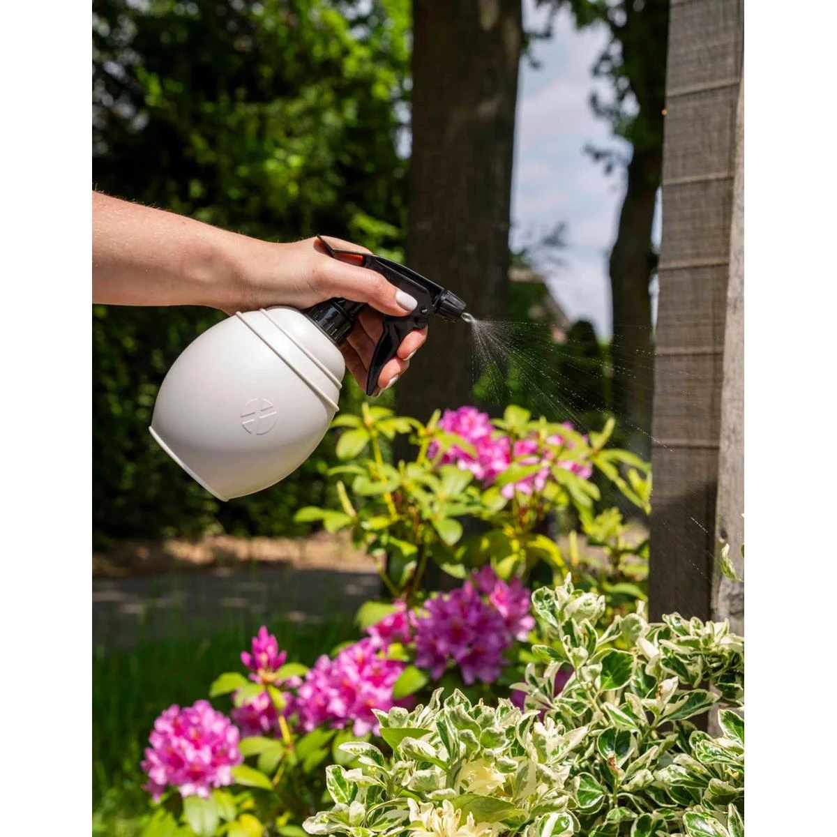 Xala Plantenspuit Chai 0,5L - 10x10x20 - Zwart 4 Xala Plantenspuit Chai 0,5L - 10x10x20 - Zwart - Afbeelding 2