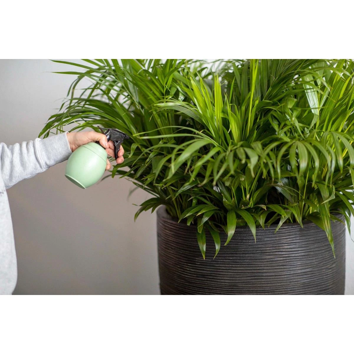 Xala Plantenspuit Chai 0,5L - 10x10x20 - Zwart 6 Xala Plantenspuit Chai 0,5L - 10x10x20 - Zwart - Afbeelding 4