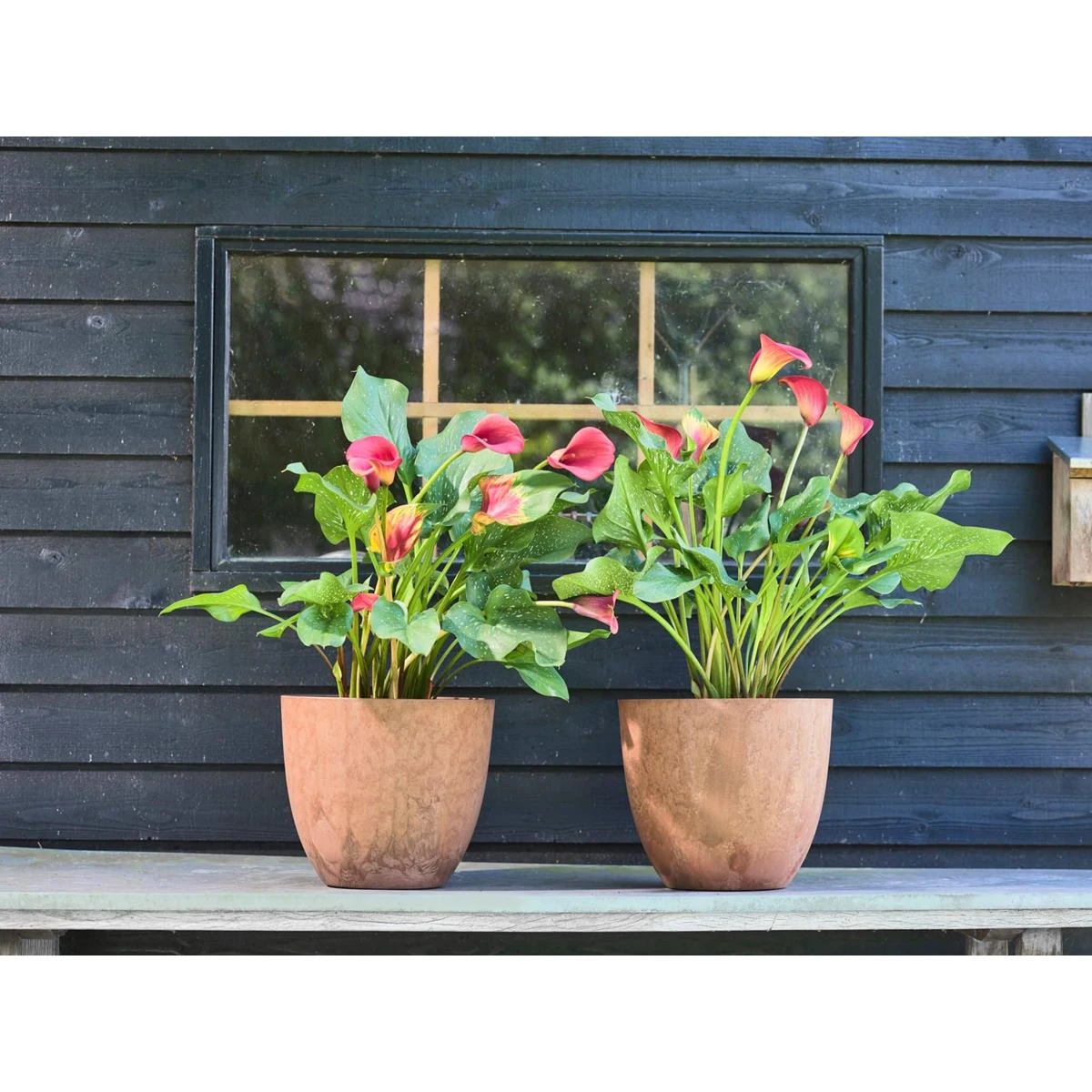 Artstone Bloempot Bola - 45x38 - Zwart 4 Artstone Bloempot Bola - 45x38 - Zwart - Afbeelding 2