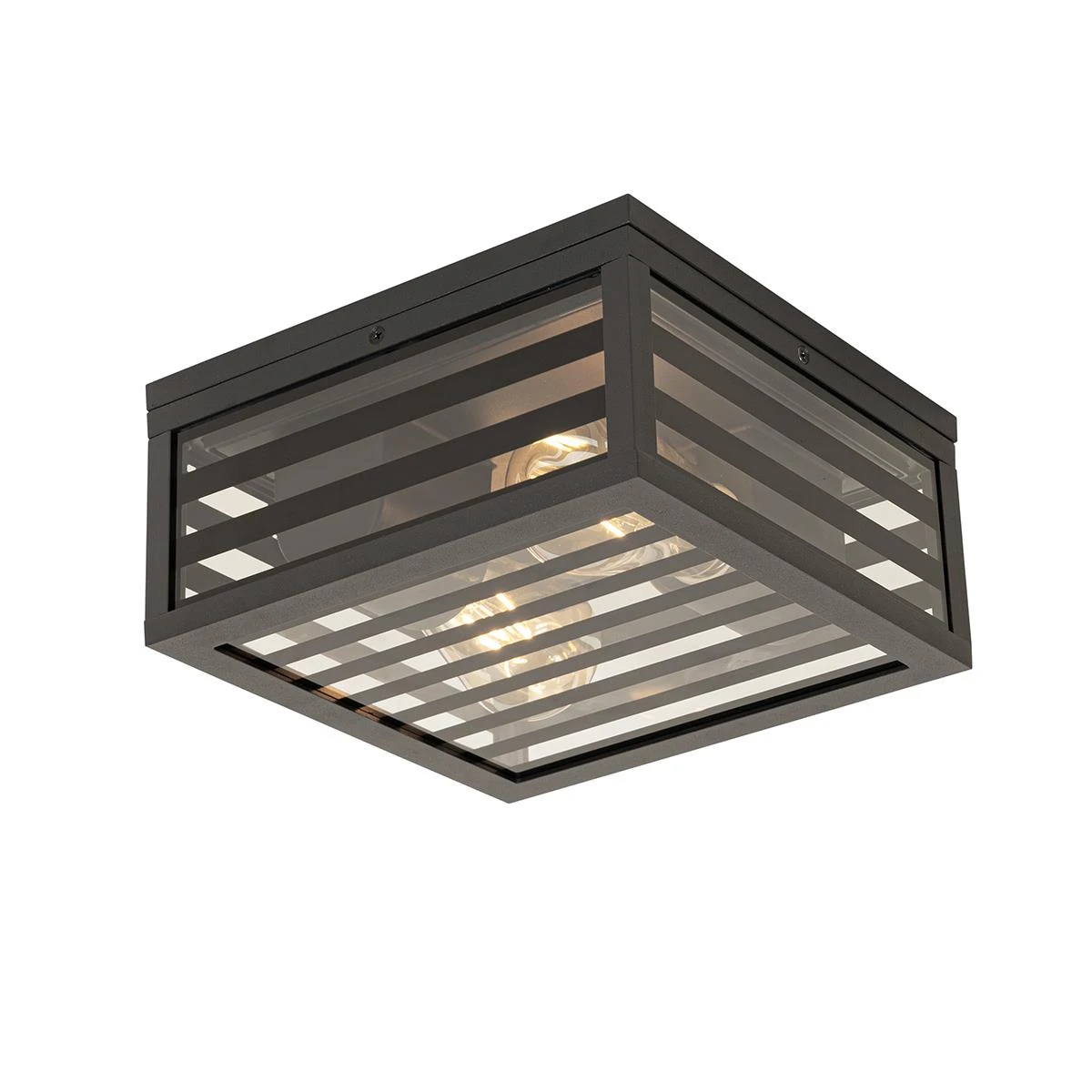 QAZQA Moderne Buiten Plafondlamp Zwart Glas 2-lichts IP44 - Reims 4 QAZQA Moderne Buiten Plafondlamp Zwart Glas 2-lichts IP44 - Reims - Afbeelding 2