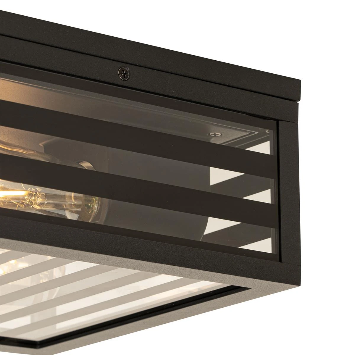 QAZQA Moderne Buiten Plafondlamp Zwart Glas 2-lichts IP44 - Reims 6 QAZQA Moderne Buiten Plafondlamp Zwart Glas 2-lichts IP44 - Reims - Afbeelding 4