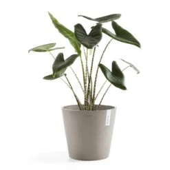 Ecopots Amsterdam Pot Ø 40 Cm - Taupe 13 Ecopots Amsterdam Pot Ø 40 Cm - Taupe -Tuinproducten 9431208