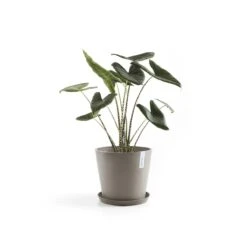Ecopots Amsterdam Pot Ø 40 Cm - Taupe 17 Ecopots Amsterdam Pot Ø 40 Cm - Taupe -Tuinproducten 9431243