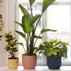 Elho Vibes Fold Bloempot Ø 25 Cm 8 Elho Vibes Fold Bloempot Ø 25 Cm -Tuinproducten 9432917