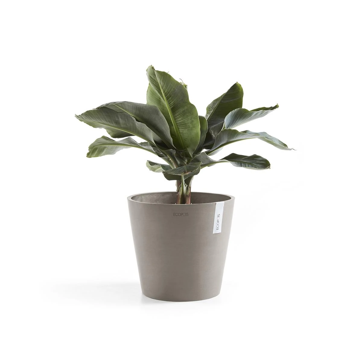 Ecopots Amsterdam Pot Ø 40 Cm - Taupe 4 Ecopots Amsterdam Pot Ø 40 Cm - Taupe - Afbeelding 2