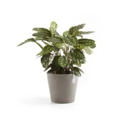 Ecopots Amsterdam Pot Ø 40 Cm - Taupe 14 Ecopots Amsterdam Pot Ø 40 Cm - Taupe -Tuinproducten 9437002