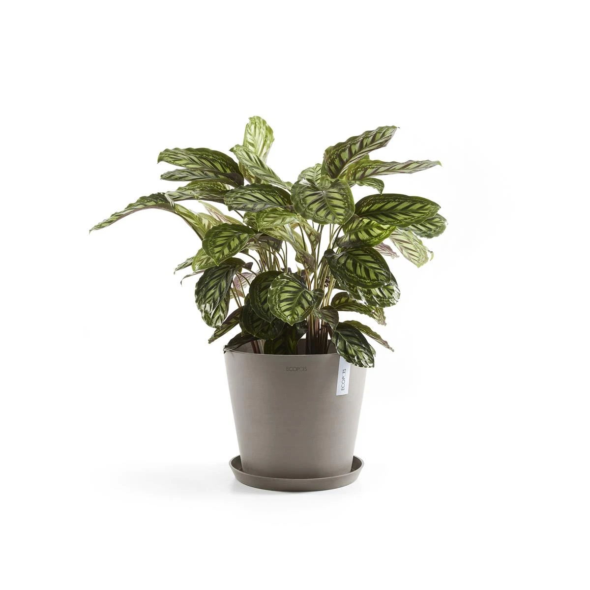 Ecopots Amsterdam Pot Ø 40 Cm - Taupe 10 Ecopots Amsterdam Pot Ø 40 Cm - Taupe - Afbeelding 8