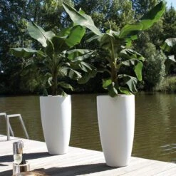 Elho Pure Soft Round High Bloempot Ø 35 Cm - Wit 18 Elho Pure Soft Round High Bloempot Ø 35 Cm - Wit -Tuinproducten 9457694