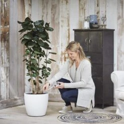 Elho Aqua Care Waterdispenser -Tuinproducten 9458384